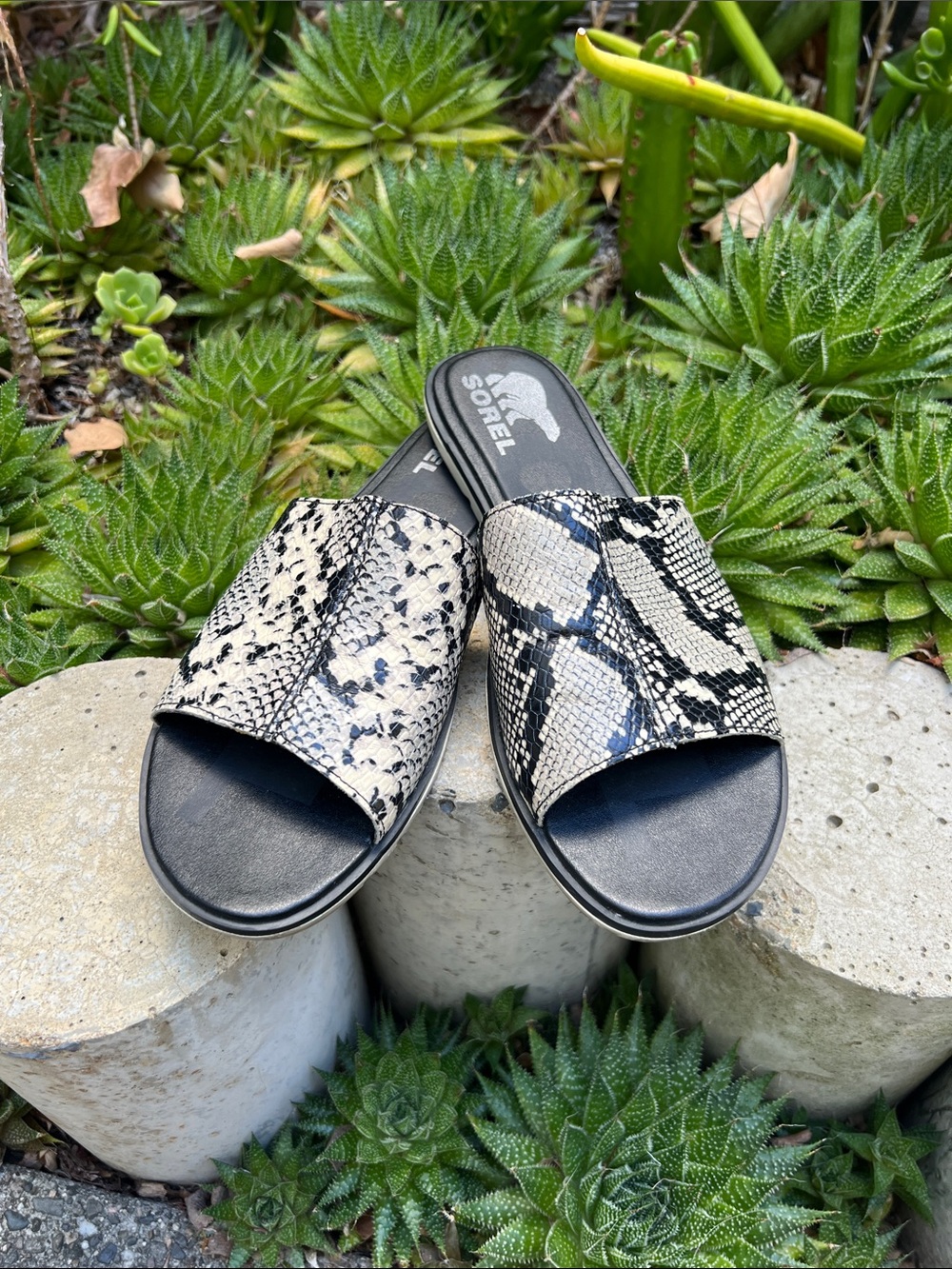 Sorel Ella Snake-Print Slide Sandals in Black and Cream